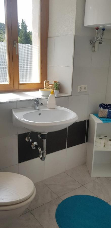 טודנאו Ferienwohnung Natururlaub Muggenbrunn מראה חיצוני תמונה