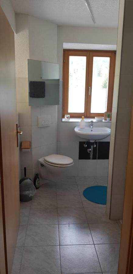 טודנאו Ferienwohnung Natururlaub Muggenbrunn מראה חיצוני תמונה